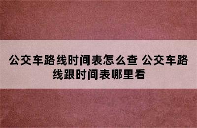 公交车路线时间表怎么查 公交车路线跟时间表哪里看